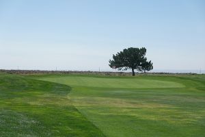 Silver Sage 5th Green